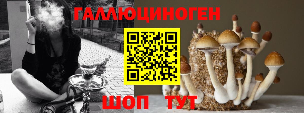 Псилоцибиновые грибы мухоморы Донецк
